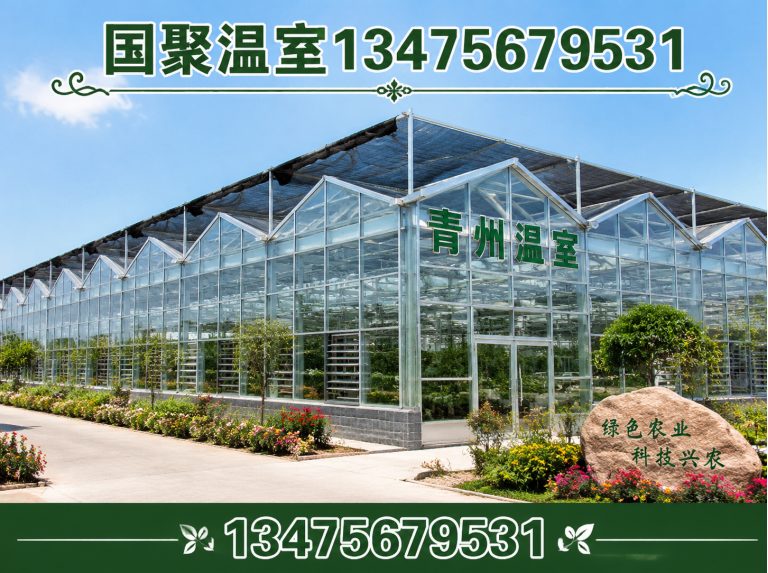 坊子区连栋薄膜温室展示图